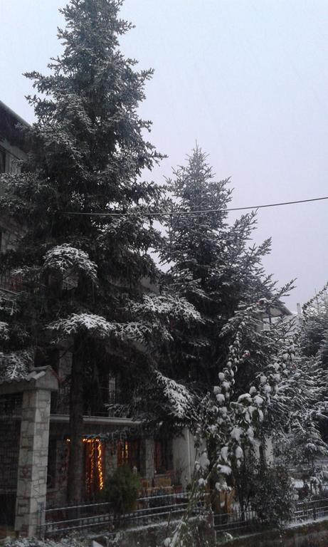 Guesthouse Alexandra Eptálofos Zewnętrze zdjęcie